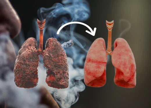 How to Clean Your Lungs After Smoking? Proven Detox Methods for Faster Relief